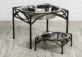 single elevated dog bowls